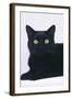 Black Cat-DLILLC-Framed Photographic Print