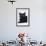 Black Cat-DLILLC-Framed Photographic Print displayed on a wall