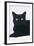 Black Cat-DLILLC-Framed Photographic Print