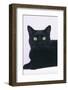 Black Cat-DLILLC-Framed Photographic Print