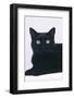 Black Cat-DLILLC-Framed Photographic Print