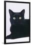 Black Cat-DLILLC-Framed Photographic Print