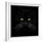 Black Cat-Lori Hutchison-Framed Photographic Print