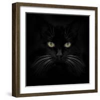 Black Cat-Lori Hutchison-Framed Photographic Print