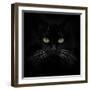 Black Cat-Lori Hutchison-Framed Photographic Print