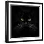 Black Cat-Lori Hutchison-Framed Photographic Print