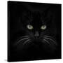 Black Cat-Lori Hutchison-Stretched Canvas