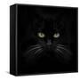 Black Cat-Lori Hutchison-Framed Stretched Canvas