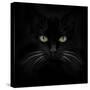 Black Cat-Lori Hutchison-Stretched Canvas