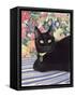 Black Cat-Anne Robinson-Framed Stretched Canvas