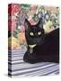 Black Cat-Anne Robinson-Stretched Canvas