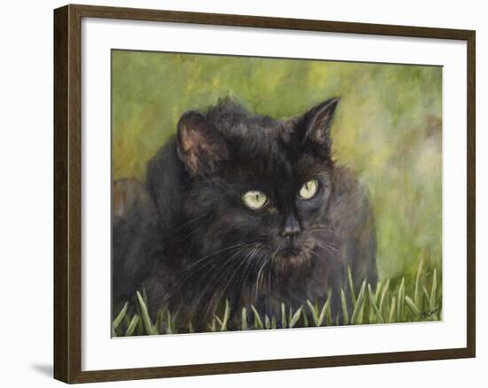 Black Cat-Sarah Davis-Framed Giclee Print