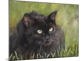 Black Cat-Sarah Davis-Mounted Giclee Print