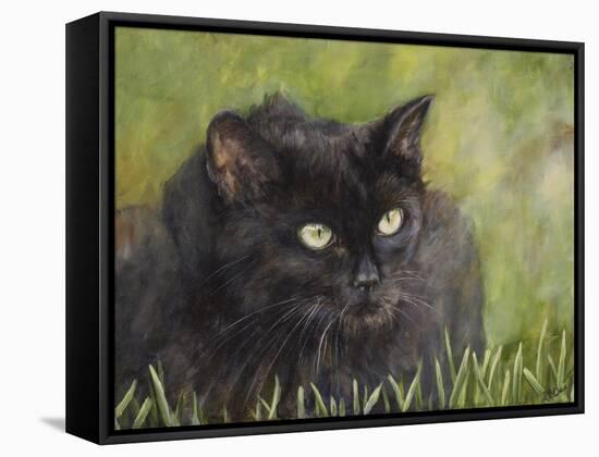 Black Cat-Sarah Davis-Framed Stretched Canvas