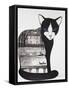 Black Cat-Oxana Zaika-Framed Stretched Canvas