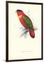 Black-Ccapped Lory - Lorius Domicella-Edward Lear-Framed Art Print