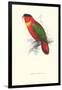 Black-Ccapped Lory - Lorius Domicella-Edward Lear-Framed Art Print