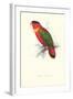 Black-Ccapped Lory - Lorius Domicella-Edward Lear-Framed Art Print