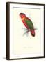 Black-Ccapped Lory - Lorius Domicella-Edward Lear-Framed Art Print