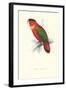 Black-Ccapped Lory - Lorius Domicella-Edward Lear-Framed Art Print