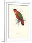 Black-Ccapped Lory - Lorius Domicella-Edward Lear-Framed Art Print