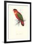 Black-Ccapped Lory - Lorius Domicella-Edward Lear-Framed Art Print