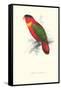 Black-Ccapped Lory - Lorius Domicella-Edward Lear-Framed Stretched Canvas