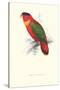 Black-Ccapped Lory - Lorius Domicella-Edward Lear-Stretched Canvas