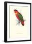 Black-Ccapped Lory - Lorius Domicella-Edward Lear-Framed Art Print