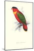 Black-Ccapped Lory - Lorius Domicella-Edward Lear-Mounted Art Print