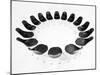 Black Chairs In A Circle Isolated On White Background-gemenacom-Mounted Art Print