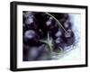 Black Cherries-Ulrike Holsten-Framed Photographic Print