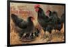 Black Chickens-null-Framed Art Print