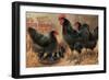 Black Chickens-null-Framed Premium Giclee Print