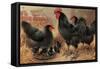 Black Chickens-null-Framed Stretched Canvas