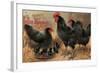 Black Chickens-null-Framed Art Print