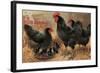 Black Chickens-null-Framed Art Print