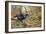 Black Cock Grouse by a Stream-Carl Donner-Framed Giclee Print