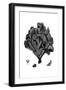 Black Coral IV-null-Framed Art Print