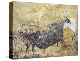 Black Cow Cave Painting at Lascaux-null-Stretched Canvas