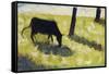 Black Cow in a Meadow, 1881-Georges Seurat-Framed Stretched Canvas