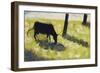 Black Cow In A Meadow-Georges Seurat-Framed Art Print