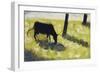 Black Cow In A Meadow-Georges Seurat-Framed Art Print