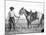 Black Cowboy and Horse, C.1890-1920-null-Mounted Photographic Print