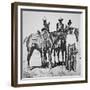 Black Cowboys at Bonham, Texas, C.1890 (B/W Photo)-American Photographer-Framed Giclee Print