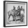 Black Cowboys at Bonham, Texas, C.1890 (B/W Photo)-American Photographer-Framed Giclee Print