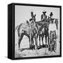 Black Cowboys at Bonham, Texas, C.1890 (B/W Photo)-American Photographer-Framed Stretched Canvas