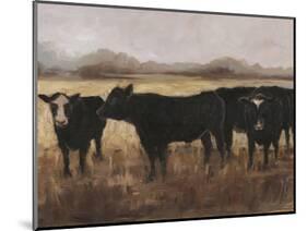 Black Cows I-Ethan Harper-Mounted Art Print