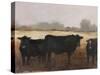 Black Cows I-Ethan Harper-Stretched Canvas