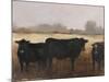 Black Cows I-Ethan Harper-Mounted Art Print